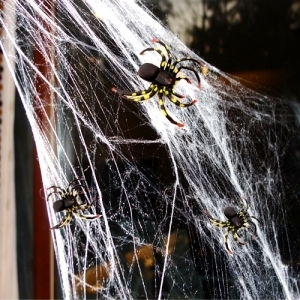 [할로윈]  거미줄과 왕거미